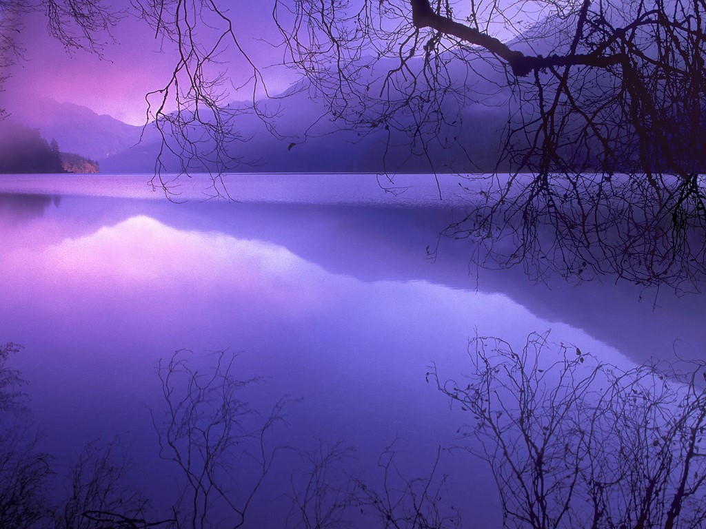 Nature-And-Celebrities-S-Purple-Haze-Over-Lake-Crescent-Olympic-212039